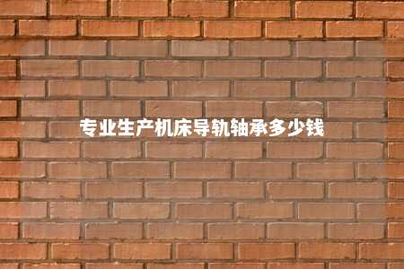 专业生产机床导轨轴承多少钱 